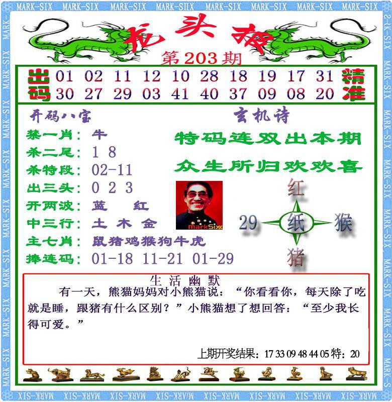 203期龙头报[图]