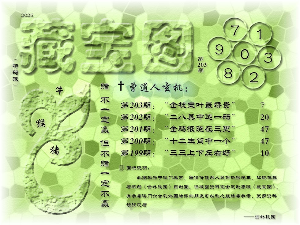 203期《藏宝图》[图]