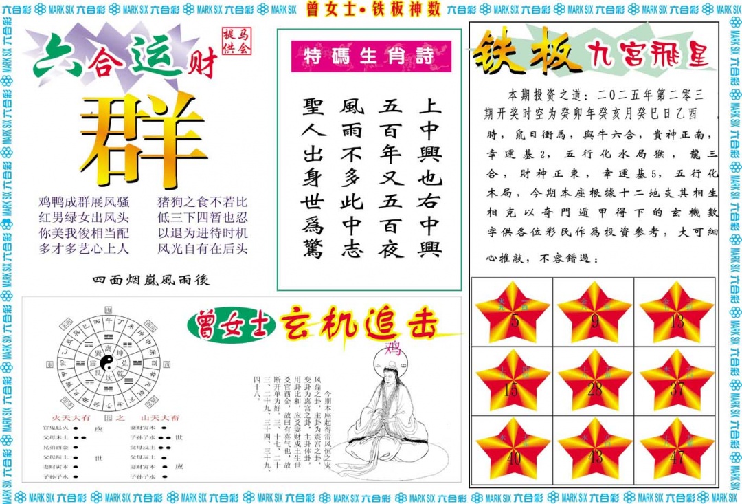 203期曾女士铁板神数B[图]