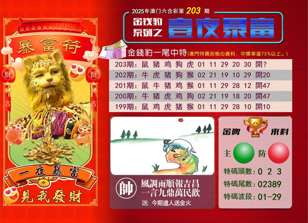 203期一夜暴富[图]