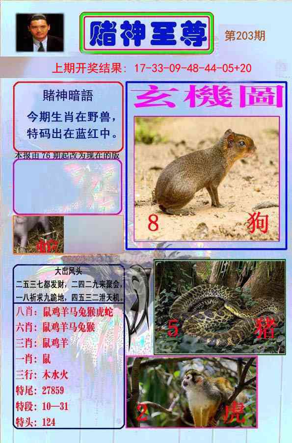 203期赌神至尊[图]