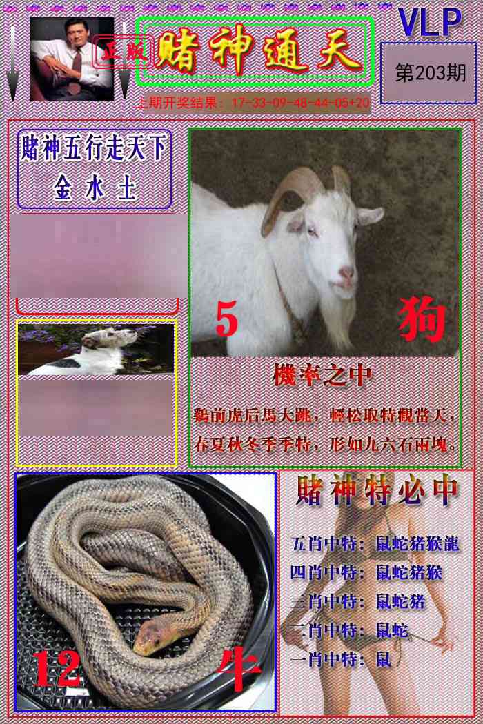 203期赌神通天报[图]