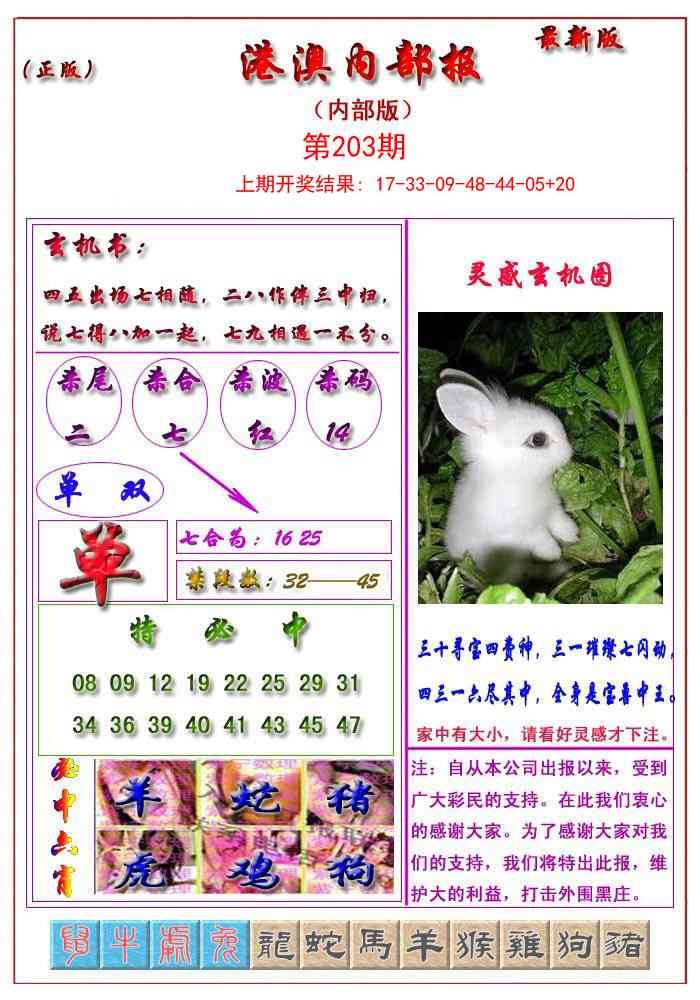 203期港澳报[图]