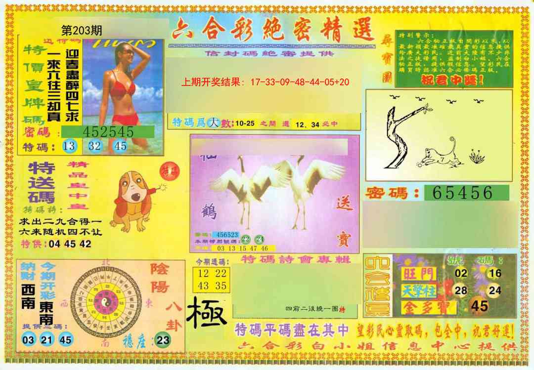 203期绝密精选A[图]