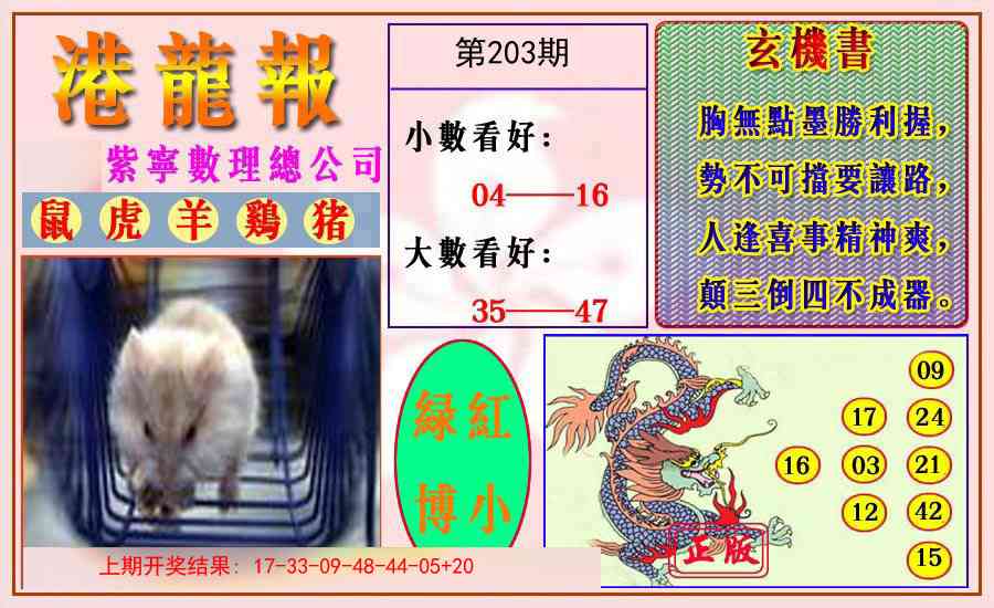 203期港龙报[图]