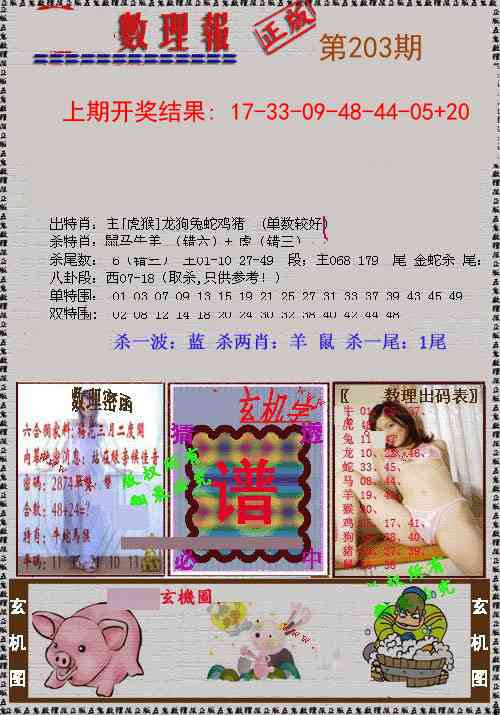 203期数理报[图]
