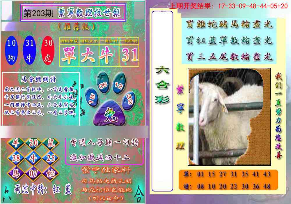 203期数理救世报[图]