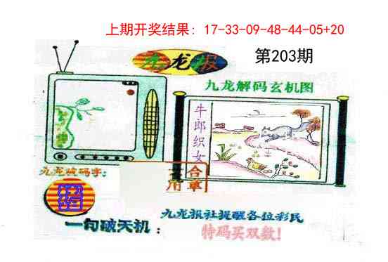 203期九龙报[图]
