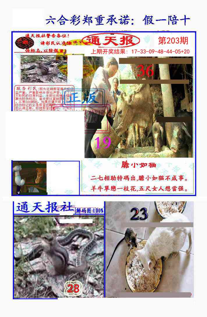203期假一陪十通天报[图]