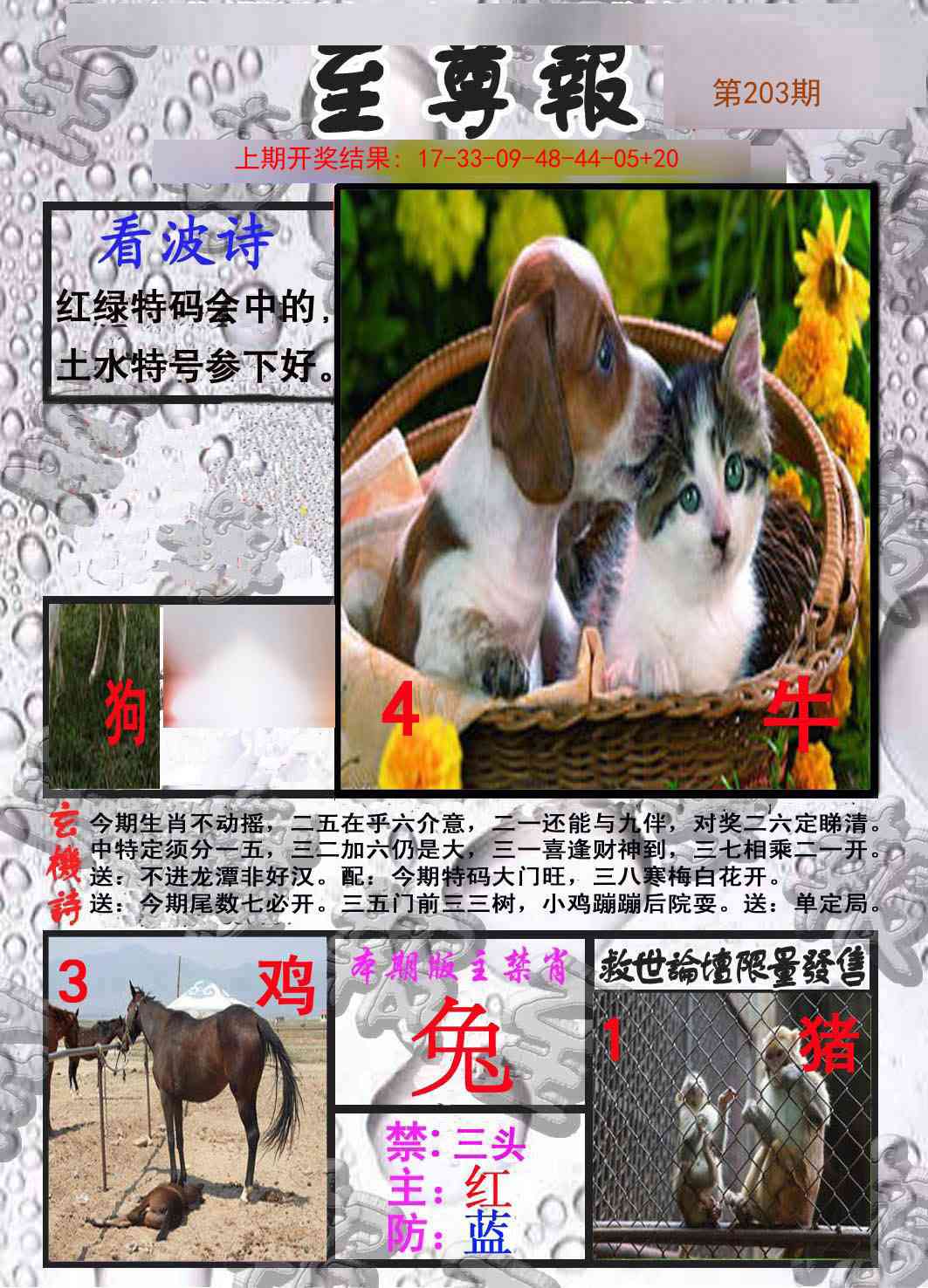 203期至尊报[图]