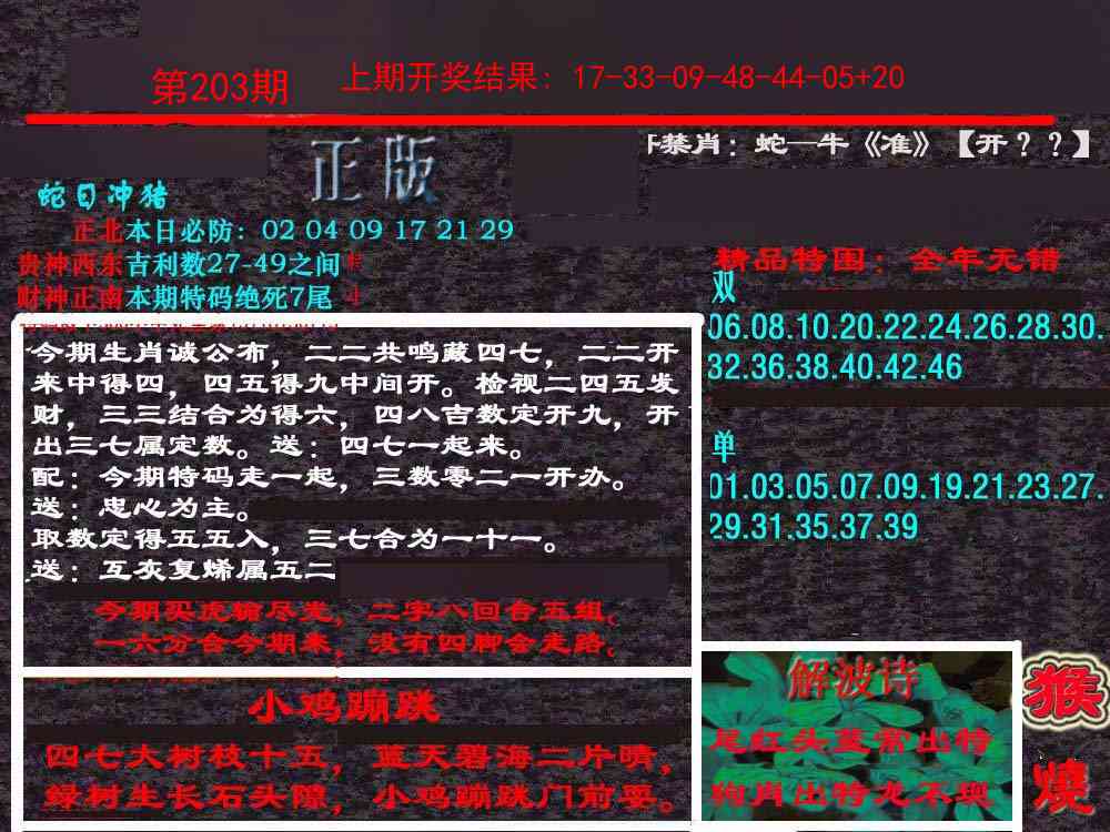 203期新港内幕[图]