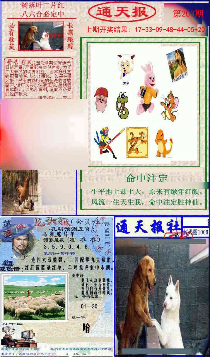 203期实力通天报[图]