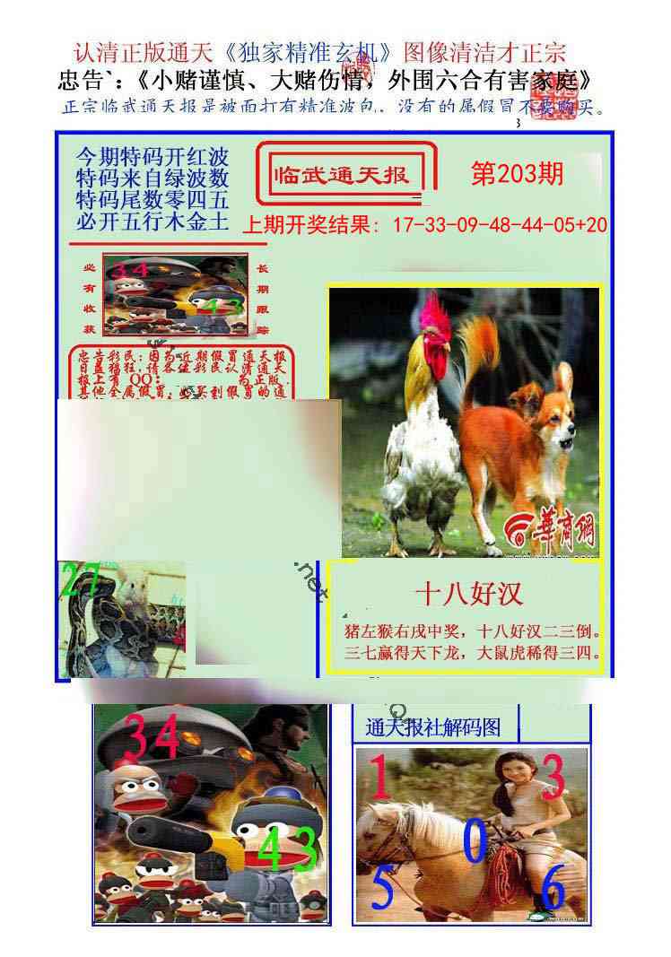 203期临武通天报[图]