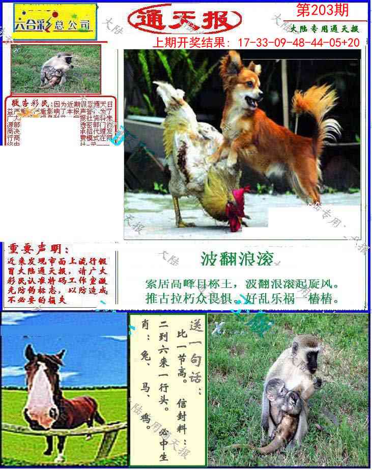 203期大陆通天报[图]