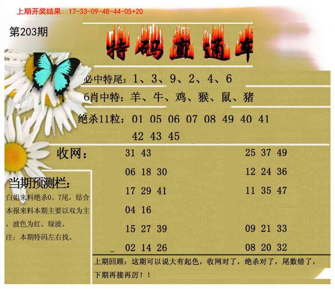 203期特码直通车[图]