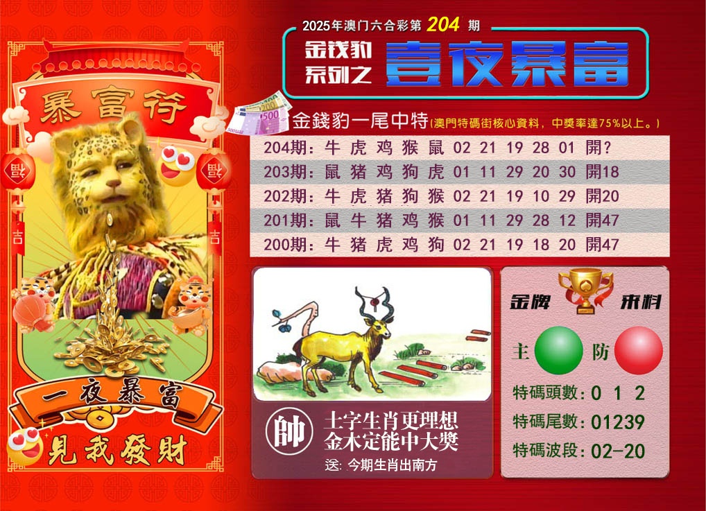 204期一夜暴富[图]