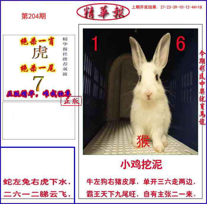204期新精华报报[图]