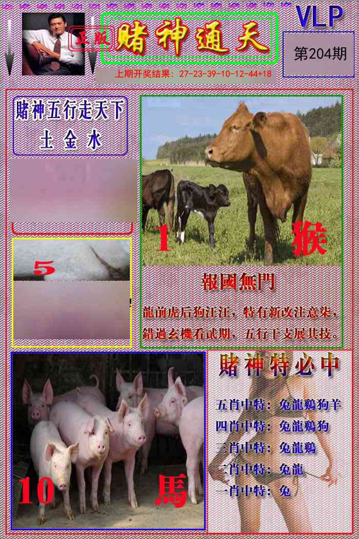 204期赌神通天报[图]