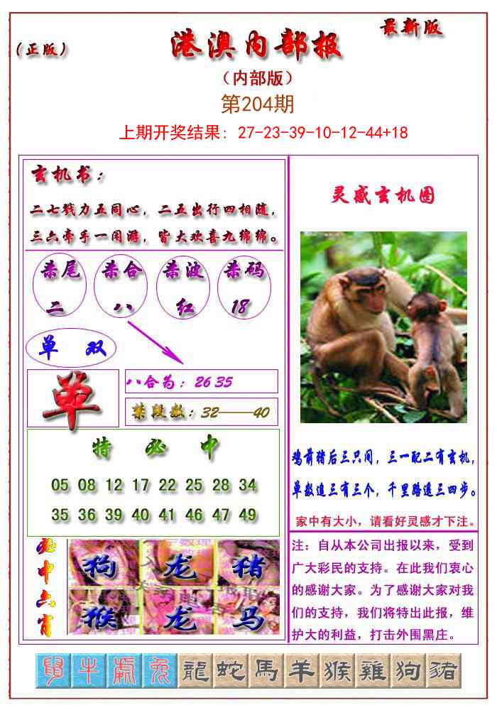 204期港澳报[图]