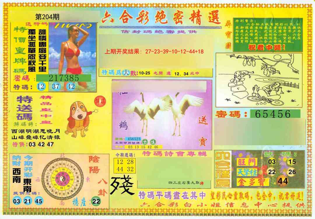 204期绝密精选A[图]