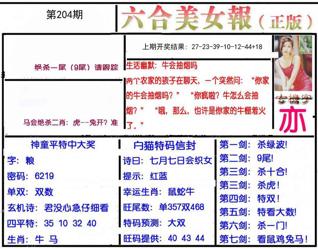 204期美女报[图]