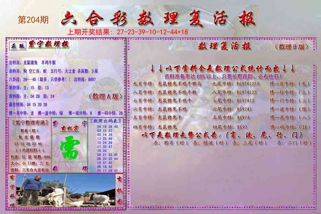 204期数理复活报[图]