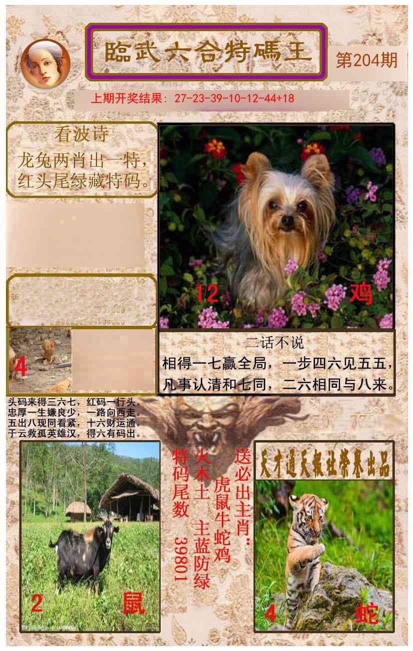 204期临武六合特码王[图]
