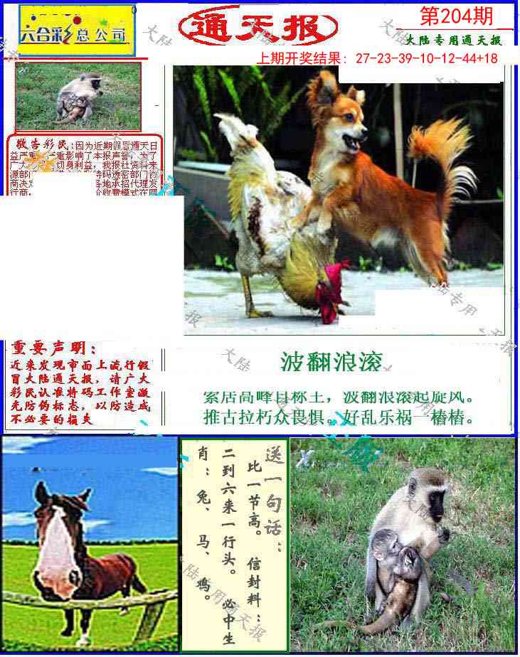 204期大陆通天报[图]