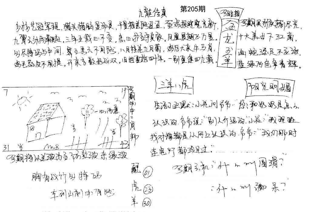 205期手写九龙内幕[图]