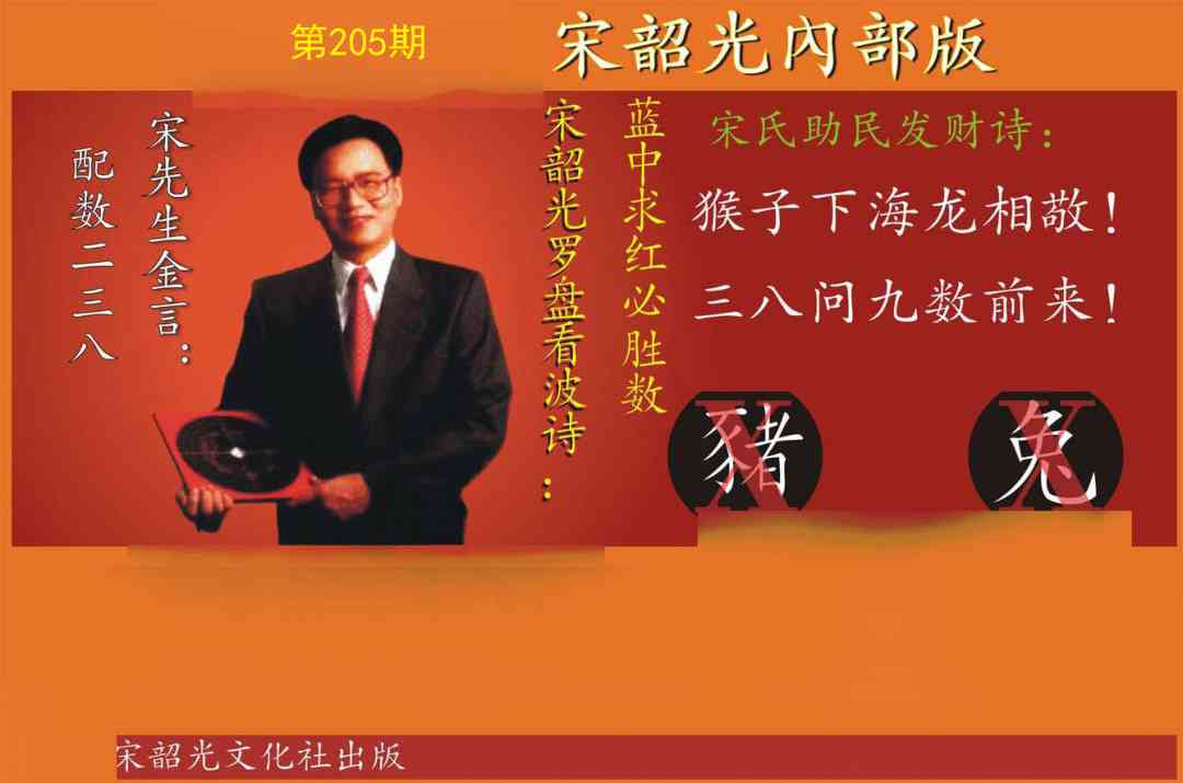 205期宋韶光内部版[图]