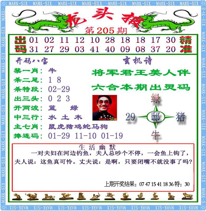 205期龙头报[图]