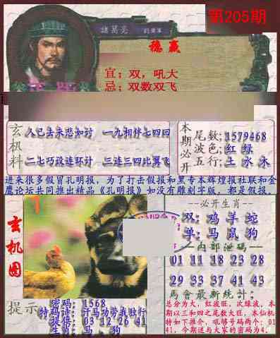 205期孔明报[图]