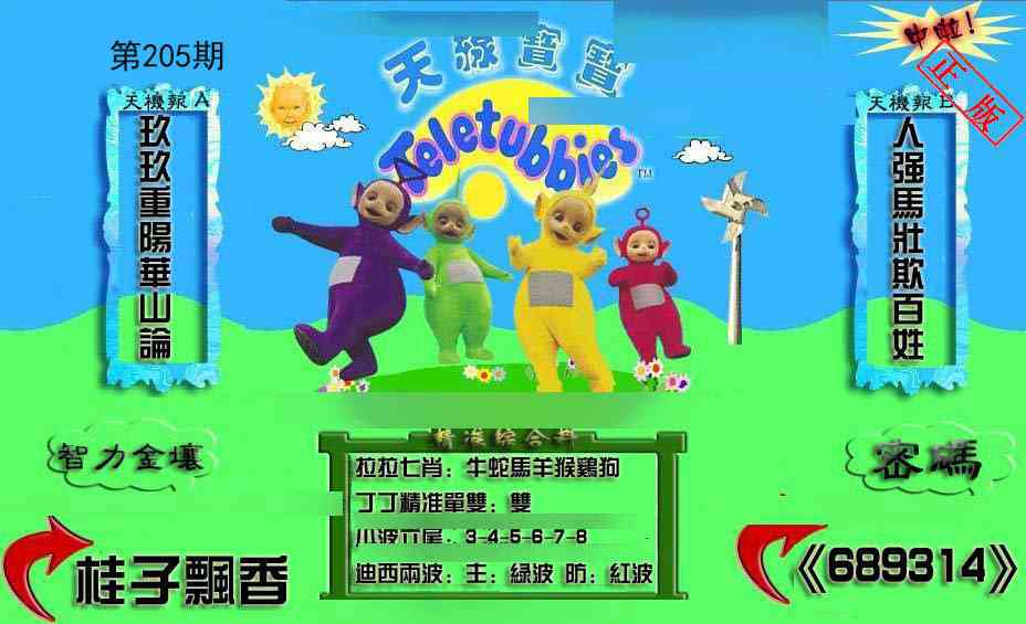 205期新天线宝宝(2006三版)[图]