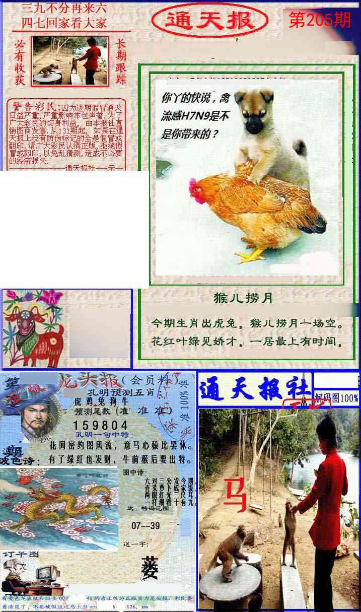 205期实力通天报[图]