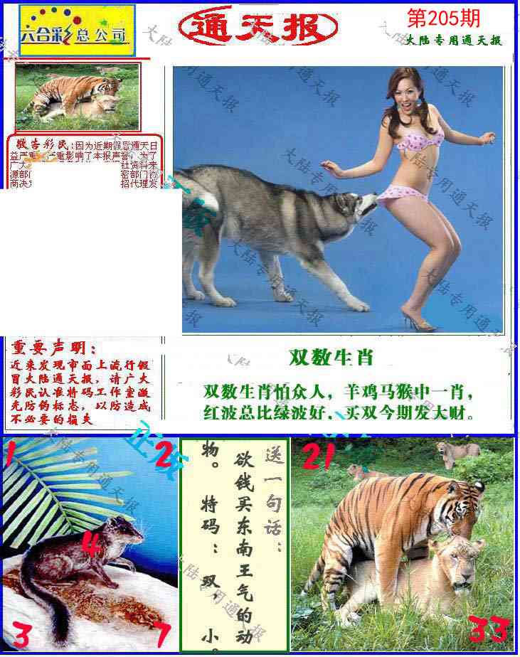 205期大陆通天报[图]