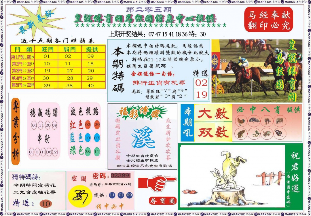 205期体育网马经图[图]