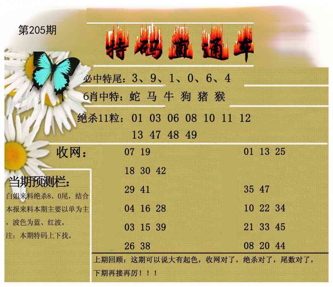 205期特码直通车[图]