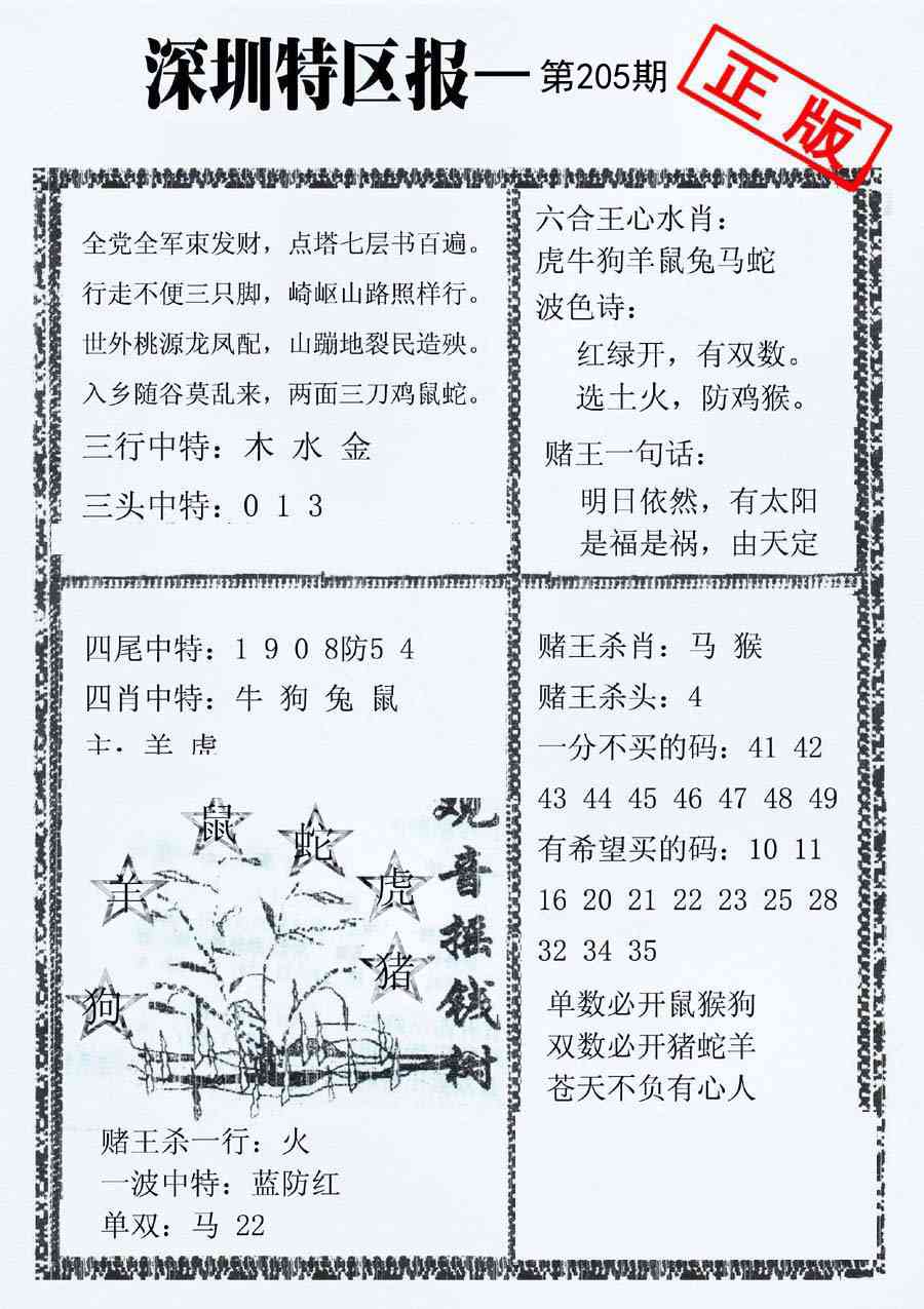 205期深圳特区报A[图]