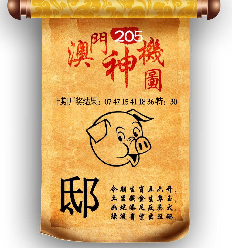 205期澳门神机图[图]