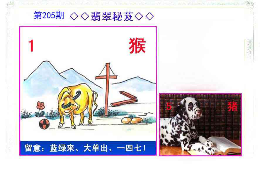 205期翡翠报[图]