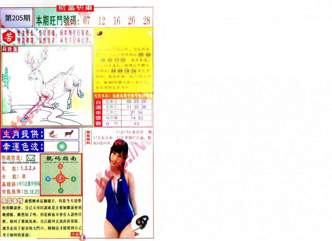 205期财富快车[图]