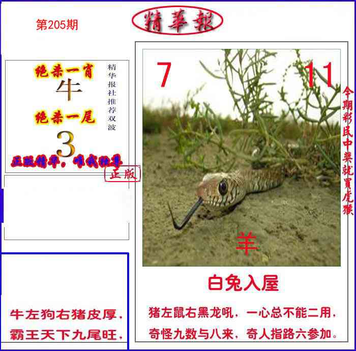 205期新精华报报[图]