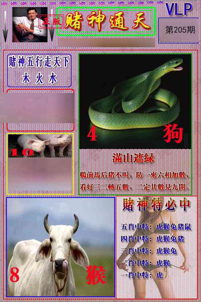 205期赌神通天报[图]