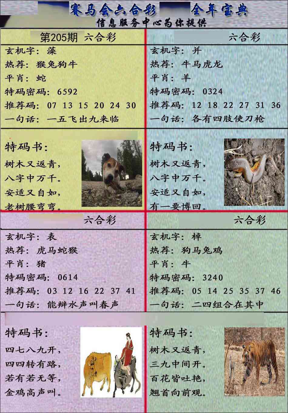 205期宝典报[图]