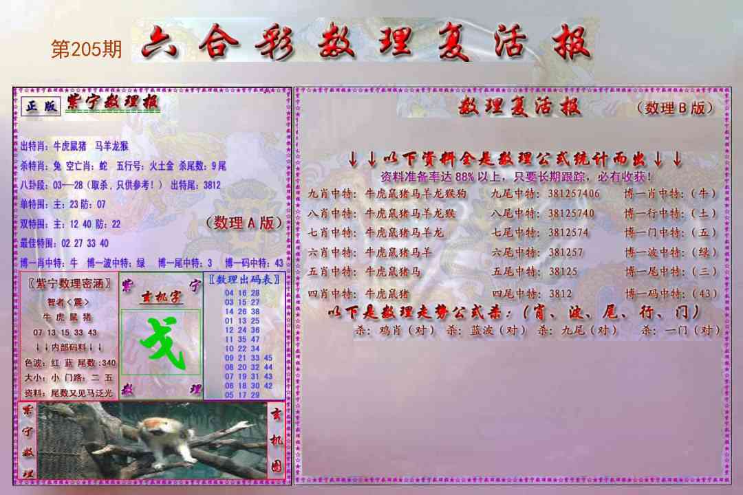 205期数理复活报[图]