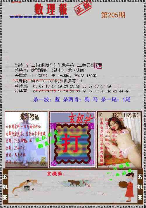205期数理报[图]