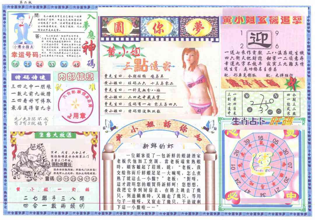 205期(新版)六合圆你梦B[图]