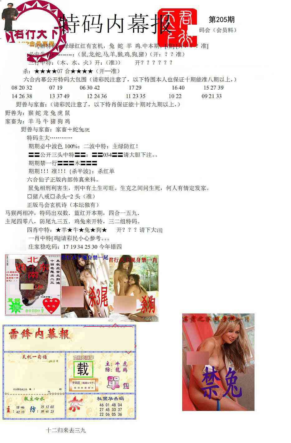 205期特码内幕报[图]