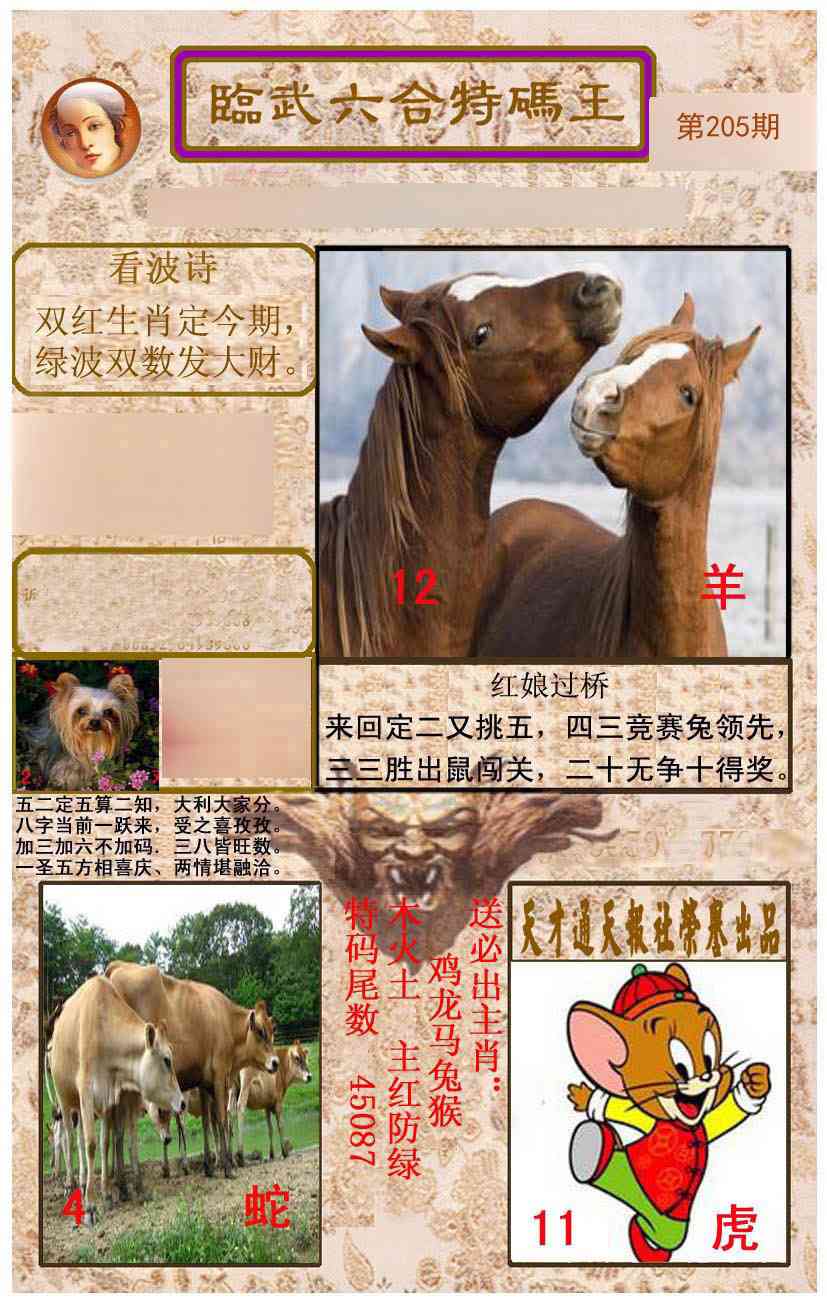 205期临武六合特码王[图]
