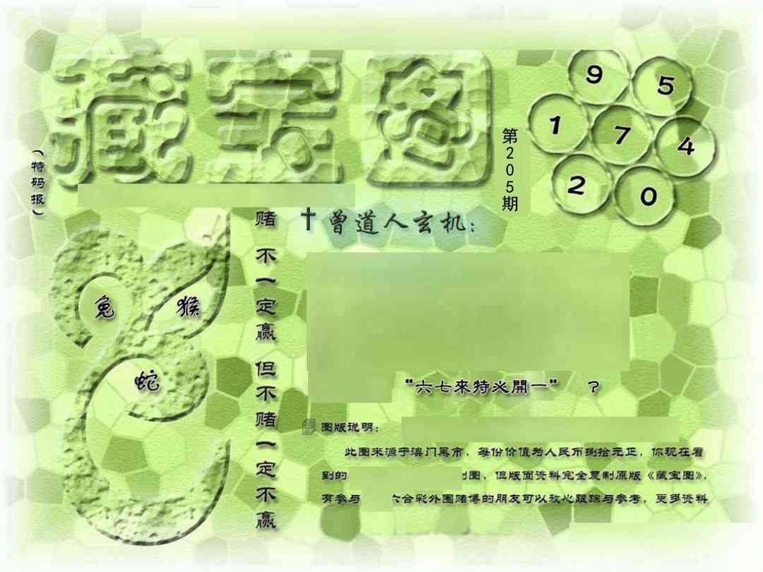 205期假新藏宝图[图]